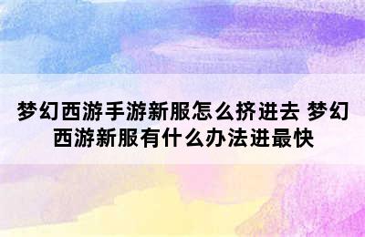 梦幻西游手游新服怎么挤进去 梦幻西游新服有什么办法进最快